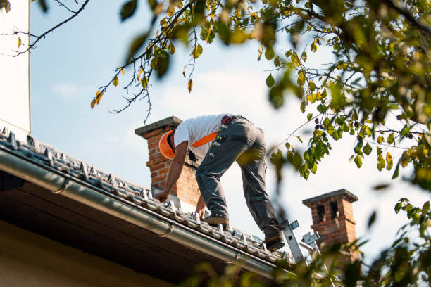 Best Roof Maintenance Services  in Nazareth College, NY